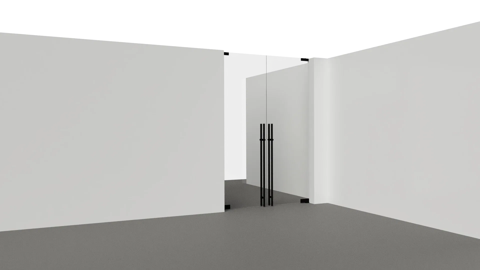 Modern glass door with sleek mirror details perfect for contemporary homes and offices.