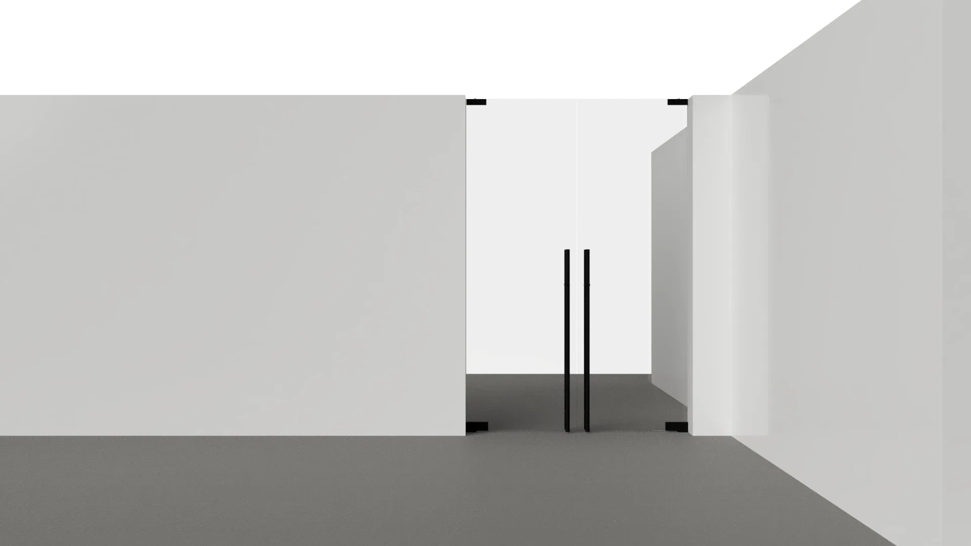 Modern glass and mirror entry door with black hardware, ideal for stylish interiors.